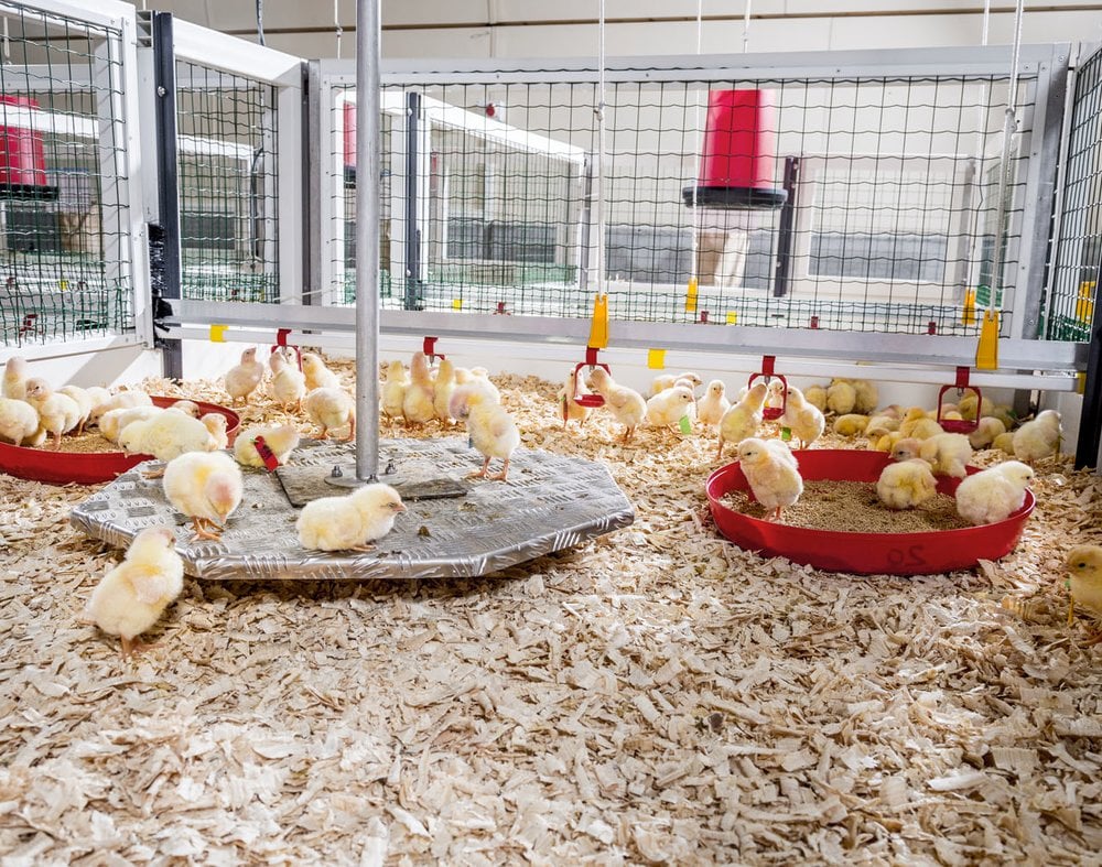 Poultry Research Facility