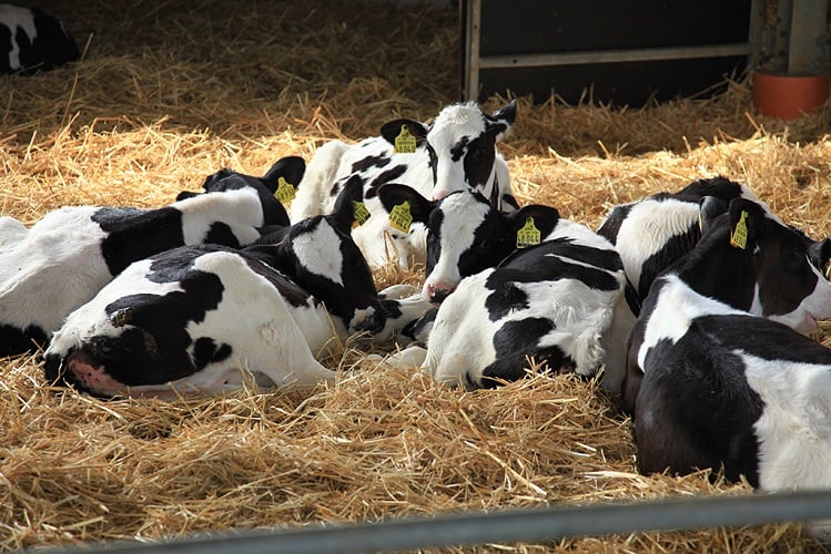 tn-lifestart-img-6923 - 750x500.jpg