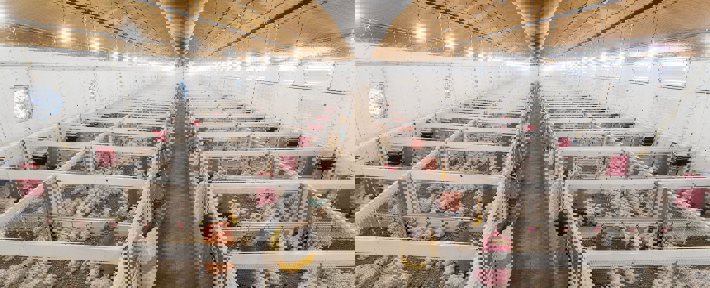 Poultry Research Centre