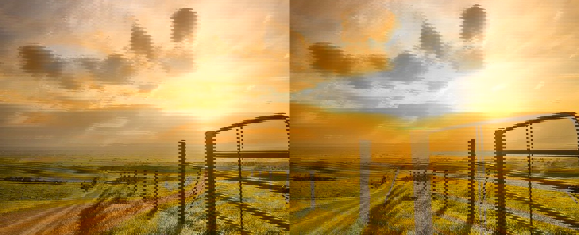 Validation farms