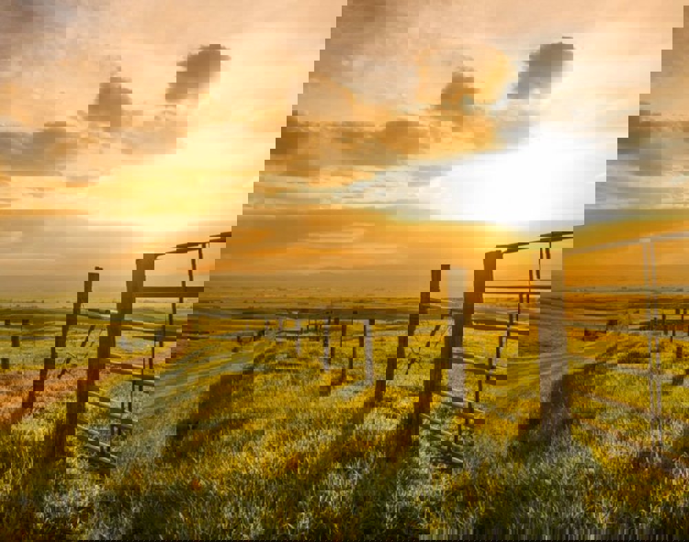 Validation farms