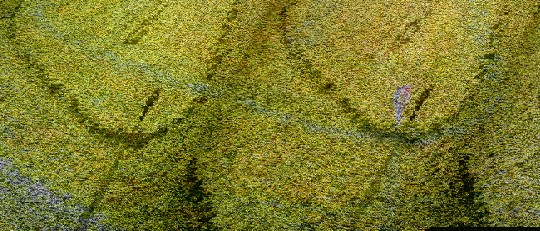 Dairy Research Facility