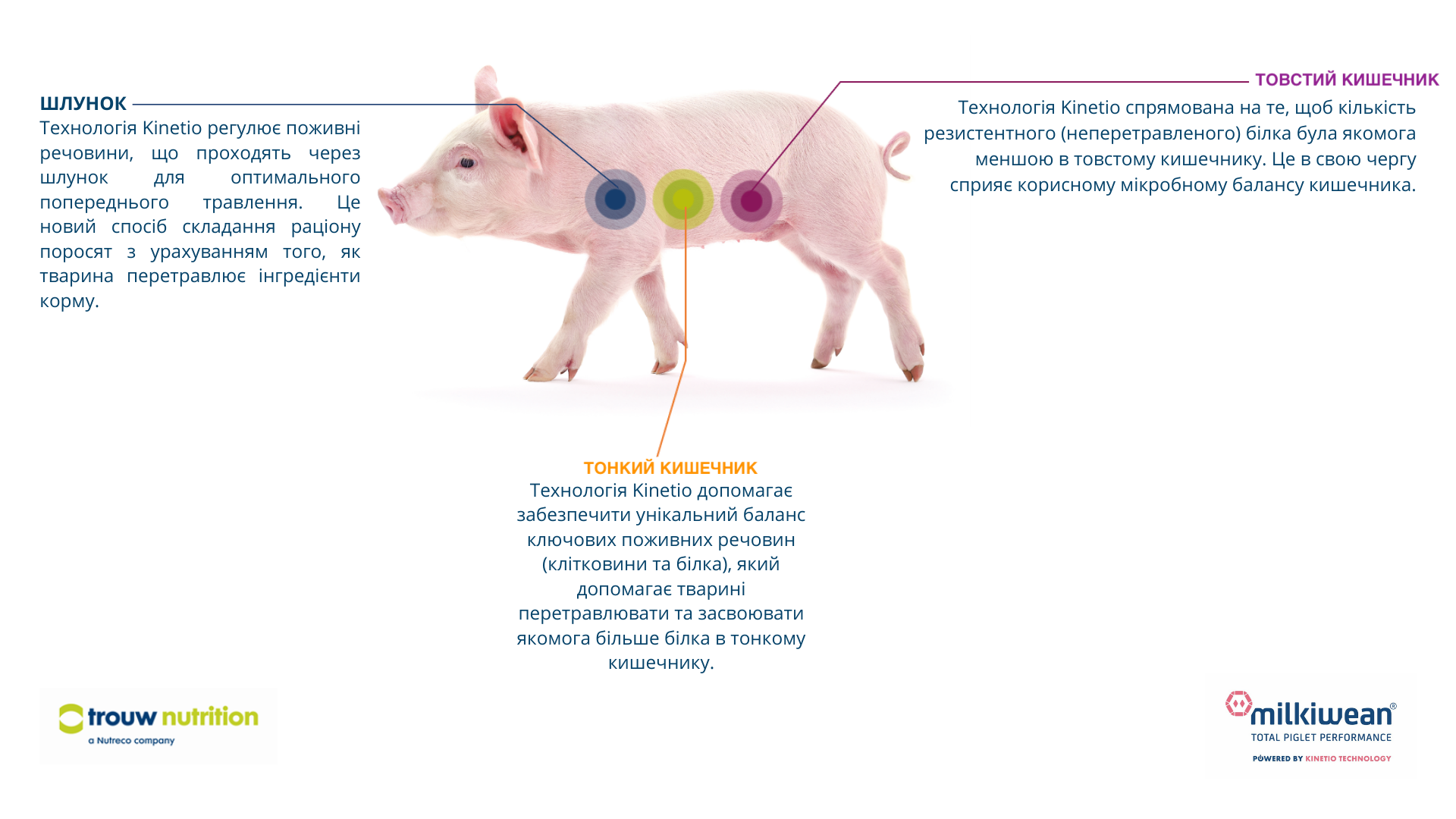 Технологія Kinetio-scheme1.png